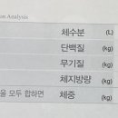 사파동365 이미지