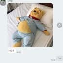 용쓰리빙 | 한해의 절반을 보내며 ... 2025 ver