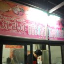 꼬치리아 이미지