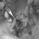 로고스 동물병원 이미지