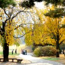 레이크사이드대중 이미지