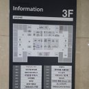 하루눈썹 | 안양눈썹왁싱 하루뷰티스튜디오 남자 눈썹왁싱 후기 (평촌 범계)