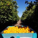 세빈농장 이미지