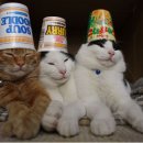 텔레마케팅관리사 실기 - 텔레마케팅실무 이미지