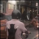 산책가개 이미지