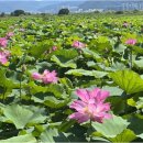 낙동강관리본부 화명생태공원 13 이미지