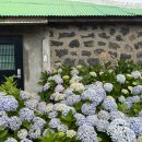 제주독채펜션돌담감성숙소밭담점 이미지