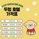 두리멍쉴 애견유치원 네이버블로그
