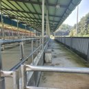 우사축사 이미지