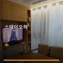 스테이오하