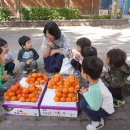 부흥초등학교 옆 이미지