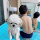 참새방아깐 | #1_