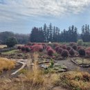 서광리-22 이미지