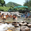 다리안민박 이미지