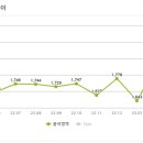 데일리 호스 브라운 네이버블로그