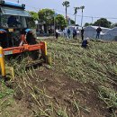 용산미래농장 이미지