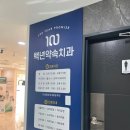 백년약속치과의원 네이버블로그