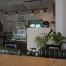 앤마카롱 네이버블로그