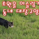 우리동네대장 이미지
