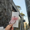 종로-종로-종로-종-322 | 💍 결혼준비기록 (8) - 청담예물, 청담웨딩밴드, BYGAMI 바이가미 (계약O)