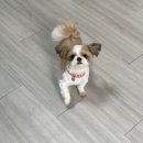 평촌나무동물병원 이미지