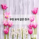 우리보석 - 계룡시 장안로 43 | 우리보석