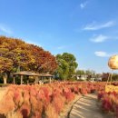 하늘공원 화장실 이미지