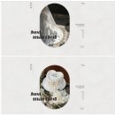 엔디자인 - 중구 중앙대로49번길 3 | 홈페이지형블로그 제작 업체 감성가득앤디자인 비포/애프터 후기