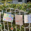 해오름초등학교 이미지