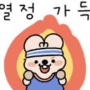 피앤피짐 이미지