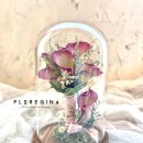 카라PC | [공지] 부케말리기 카라 부케유리돔 제작이 어려운 이유와 기준