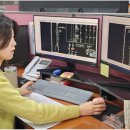 네일플랜트
