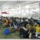 플러스 독 이미지