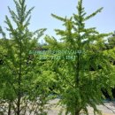 더(THE)탑공인중개사사무소 이미지