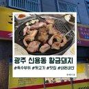 샌드리아첨단2지구점 | 광주 신용동 첨단2지구 고깃집 "황금돼지" 나만 알고싶은 특수부위 맛집 내돈내산 후기