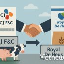 글로벌F&C