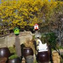 뜰과풍경 이미지