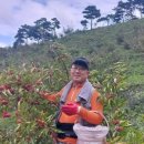 김두용농장 이미지