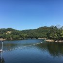 맹동낚시터 이미지