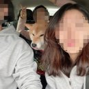 살롱드라보떼 - 칠곡군 | 살롱드라보떼