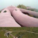 토끼달