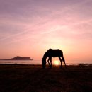 성산의 아침 이미지