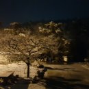 성골 농원 이미지