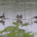 경안천 마평동 이미지