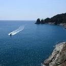 일동농협주유소 이미지