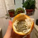 성라공원(7지역 관리사건물) | 나홀로남미여행 2일차(1/29) - [페루 리마] 미라플로레스, 바랑코