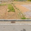 동문동537 이미지