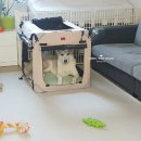 Pro켄넬 | 벤트라 소프트켄넬 아토프로 92, 82 사이즈 후기!