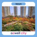 청주 대장아파트 신영지웰시티푸르지오｜97만 유투버 태요미네가 선택한 곳