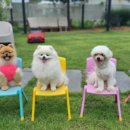 광주가든 이미지